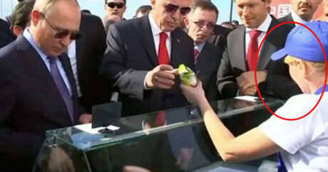 Ərdoğan və Putinə dondurma satan sirli qadın kimdir? – FOTO/VİDEO 