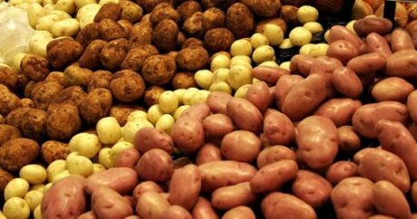 Kartof kəskin bahalaşdı – VİDEO