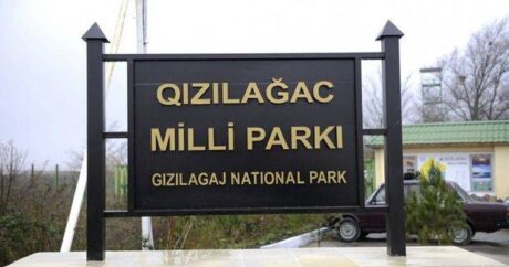 “Qızılağac” Milli Parkına yeni direktor təyin edilib – FOTO