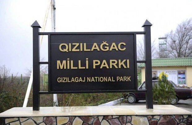 “Qızılağac” Milli Parkına yeni direktor təyin edilib – FOTO