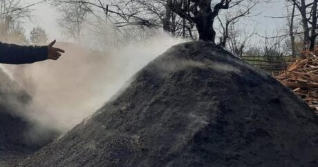 Qubada qanunsuz  kömür quyusu aşkar edildi – FOTO