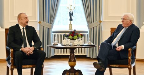 İlham Əliyev Almaniya Prezidenti ilə görüşdü – FOTOLAR / YENİLƏNDİ 3