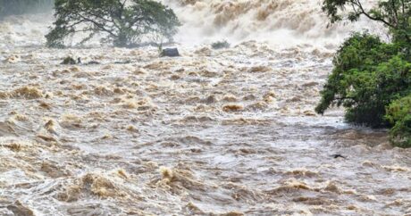 Güclü yağışlar 41 nəfərin ölümünə səbəb oldu – VİDEO