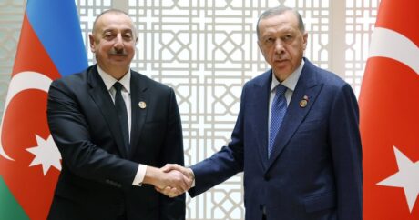TDT-nin fövqəladə Zirvə Görüşü: Ərdoğan Azərbaycan Prezidentini qarşıladı