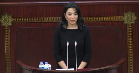 Milli Məclis Ombudsmanın illik məruzəsini qəbul etdi – YENİLƏNDİ 2
