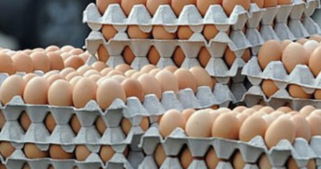 Ötən il Azərbaycanda istehsal edilən yumurtanın sayı açıqlandı