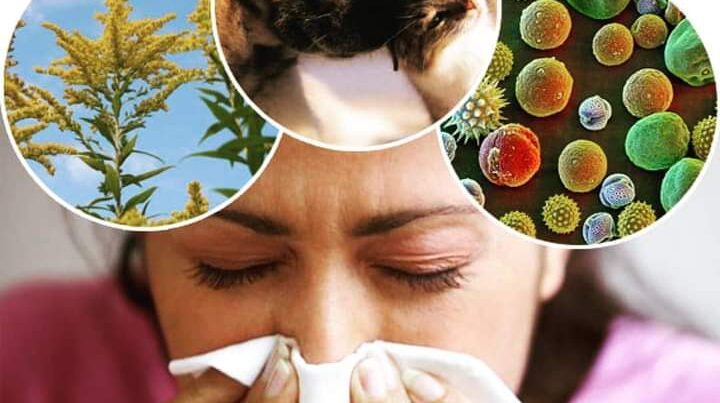 Allergiya, mövsüm dəyişikliyi, qidalar: Nələrə əməl etməli? – Həkimdən TÖVSİYƏLƏR
