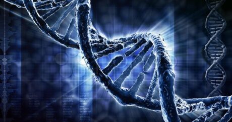 İnsanların genetik faktorları necə mutasiyaya uğrayıb? – ARAŞDIRMA