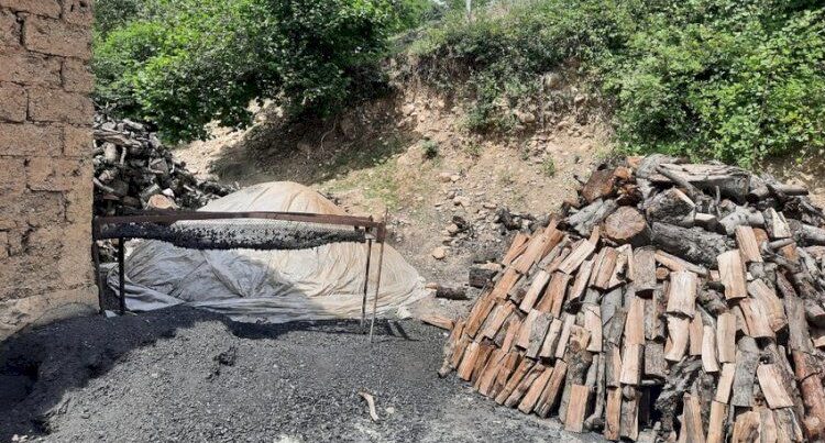 Qubada qanunsuz kömür quyusu aşkarlandı – FOTO