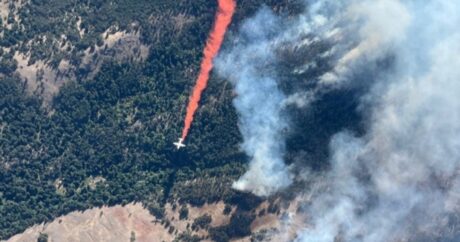 14 milyon hektar ərazi yanaraq kül oldu