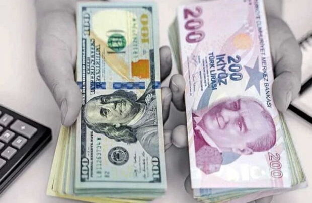 Türkiyə lirəsi dollar qarşısında tarixi minimumunu yenilədi