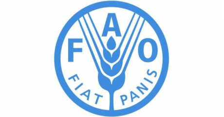 FAO Azərbaycan ofisinin Naxçıvan bölməsinin yaradılması nəzərdə tutulur