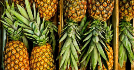 Orqanizmi cavanlaşdırır, arıqlamağa kömək edir – Ananasın unikal faydaları