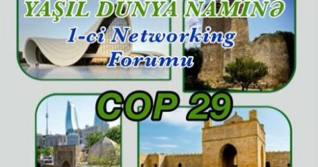 COP29 çərçivəsində “Yaşıl Dünya Naminə” 1-ci Networking Forumuna start verildi