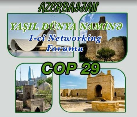 COP29 çərçivəsində “Yaşıl Dünya Naminə” 1-ci Networking Forumuna start verildi