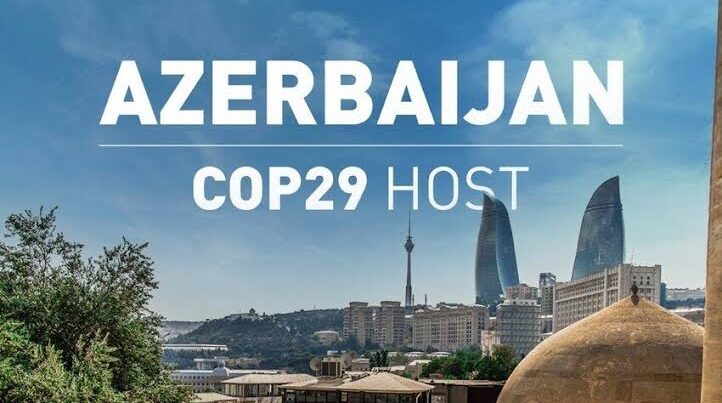 COP29 Azərbaycan üzrə baş icraçı direktor təyin edildi