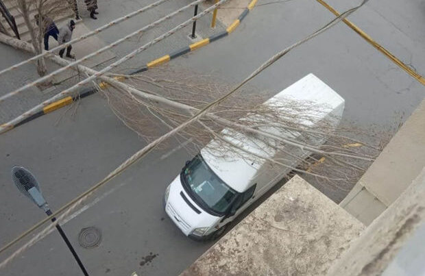 Hövsanda çürümüş ağac avtomobilin üstünə aşdı – VİDEO