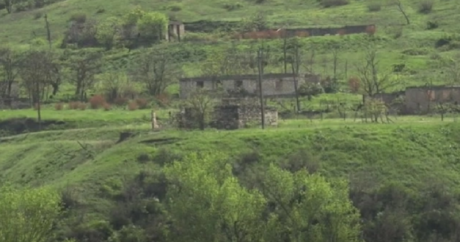 Qazaxın azad edilən Qızılhacılı kəndindən görüntülər