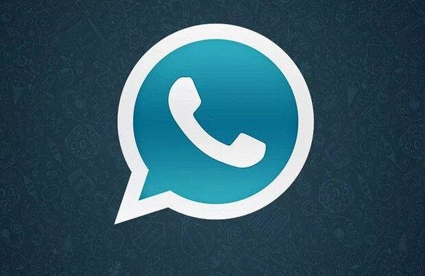 “WhatsApp+” ilə bağlı Azərbaycanda maraqlı statistika