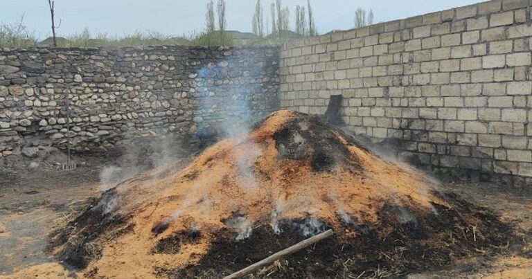 Üç rayonda kömür quyuları aşkarlandı, səkkiz nəfər cəzalandırıldı