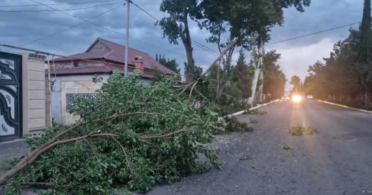 Güclü külək elektrik enerjisi təsərrüfatlarına ziyan vurdu