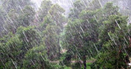 Ən çox yağış bu rayonlara yağıb, çaylardan sel keçib – FAKTİKİ HAVA