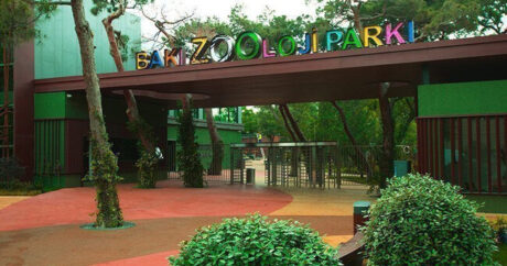 Bakı Zooloji Parkında bilet qiyməti qalxdı
