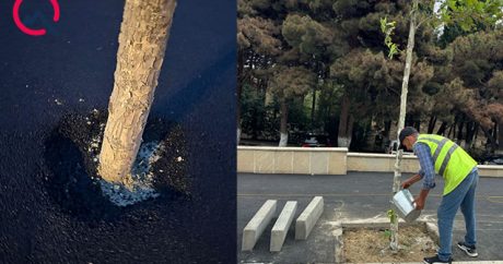 Bakıda bu küçədəki vəziyyət müzakirə yaratdı – FOTOLAR