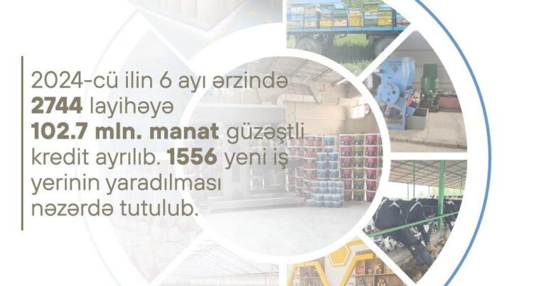 Verilən güzəştli kreditlərin həcmi açıqlandı