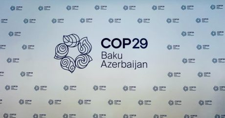 COP29 Fəaliyyət Gündəliyi Təşəbbüsləri açıqlandı