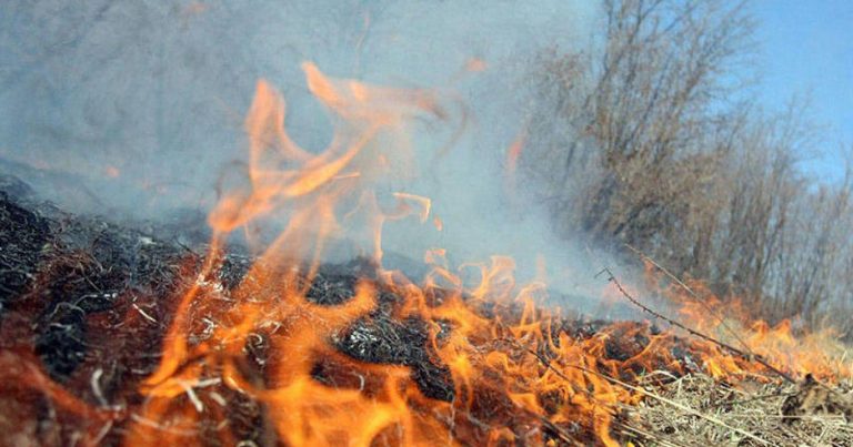 Naxçıvanda biçilmiş taxıl sahəsi yandı