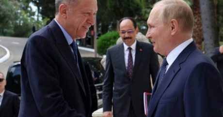 Ərdoğan Rusiyada Putinlə görüşə bilər