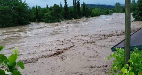 Çaylardan sel keçir – FAKTİKİ HAVA