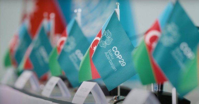 COP29-un ÖNƏMİ: “Azərbaycanda keçirilən konfransın uğurla tarixə düşəcəyinə əminik”