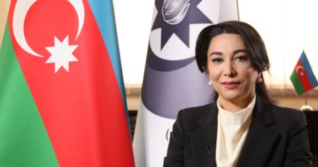 “Beynəlxalq ictimaiyyət Ermənistanın mina terroruna səssiz qalmamalıdır” – Ombudsman