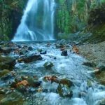 Türkiyənin sağlamlıq turizmində təbii sərvətlərinin rolu — FOTOLAR