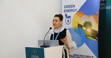 Bərpa olunan enerji mənbələrinin tətbiqinə dair interaktiv seminar –  FOTO