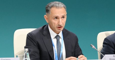 “2025-ci ildən alternativ enerji mənbələrindən istifadə genişləndiriləcək” – Nazir