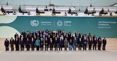 COP29 ölkəmiz və dünya adına uğurdur! – Tənzilə Rüstəmxanlı yazır