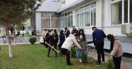 Daşkənddə COP29-a həsr olunmuş ağacəkmə aksiyası keçirildi – FOTO