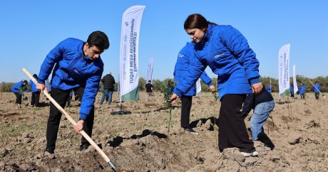 Hacıqabulda Tuqay meşəsinin bərpası aksiyası keçirildi