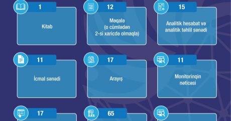 İctimai rəyin öyrənilməsi departamentinin 2024-cü il üzrə elmi-tədqiqat fəaliyyəti ilə bağlı hesabatının xülasəsi