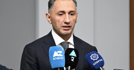 Rəşad Nəbiyev: “Təyyarəyə kənar müdaxilə olub”