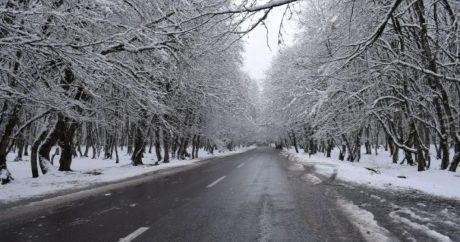 Bu rayonlara qar yağır