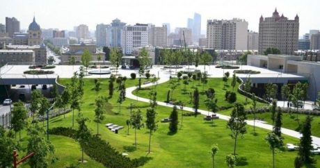 Bakıda park salınır – 37 milyon XƏRCLƏNƏCƏK