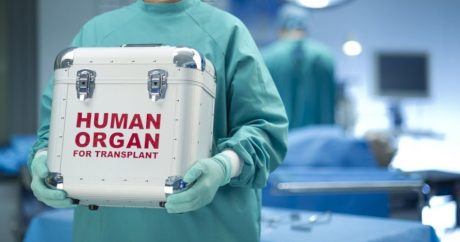 Meyit donorun orqanları transplantasiya edildi – Azərbaycanda ilk